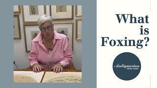 What is Foxing on Prints  Antiquarian Print Shop [upl. by Hgielrac]