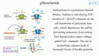 glibenclamide [upl. by Rubia915]