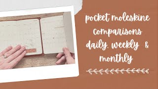 Pocket Moleskine  Daily Weekly amp Monthly [upl. by Acimehs]