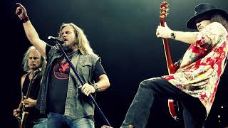 Lynyrd Skynyrd  Simple Man Live [upl. by Ative567]