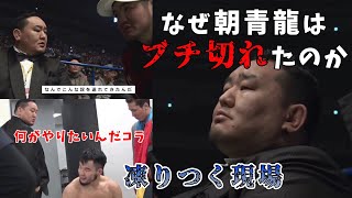 【真相解説】なぜ朝青龍はブチ切れてしまったのか【RIZIN】 [upl. by Mccullough]