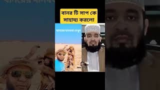 বানর টি সাপ কে সাহায্য করলো🙀 religion​ islamicvideo​ duet​ islamicmessages​ viralvideo​ allah [upl. by Greff]