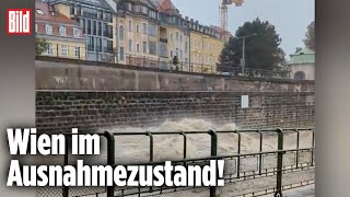 Hochwasser in Europa Die Flutwelle hat Wien erreicht [upl. by Nivalc]