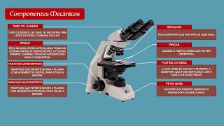 Microscópio  Partes do Microscópio Óptico [upl. by Ahsaelat]