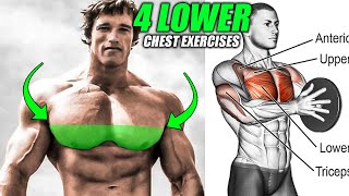 BEST 4 LOWER CHEST EXERCISES 💪 999 RESULTS [upl. by Schoening]