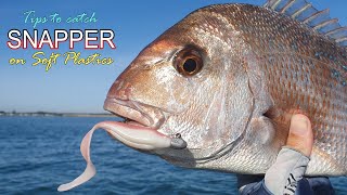 How to catch Snapper on Soft Plastics   helpful Tips amp Techniques [upl. by Okire]