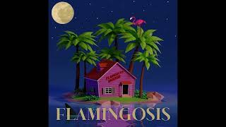 Flamingosis  Costa Verde Mood Provider Vol 5 [upl. by Gnahc485]