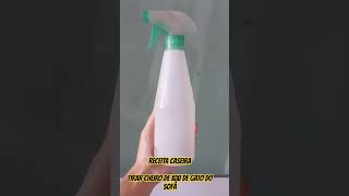 Receita caseira para tirar cheiro de xixi de gato do sofá [upl. by Naie638]