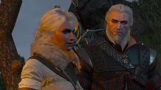 The Witcher 3 Wild Hunt  Complete Edition Part 77 The Sunstone [upl. by Balling994]