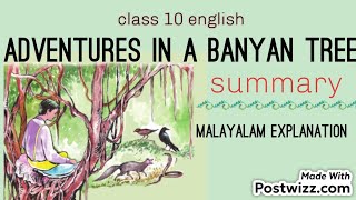 summary  adventures in a banyan tree explanation [upl. by Flanigan688]