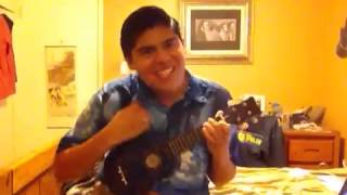 quotThe Night They Drove Old Dixie Downquot Uke cover [upl. by Nillok138]