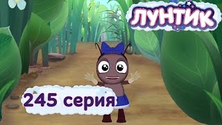 Лунтик и его друзья  245 серия Потеряшка [upl. by Darian]