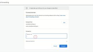 Google Domain Forwarding  Free Plan [upl. by Nilyram]