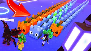 Full Team of HUGE PUMPKIN CAT PETS in Pet Simulator X [upl. by Jovi720]