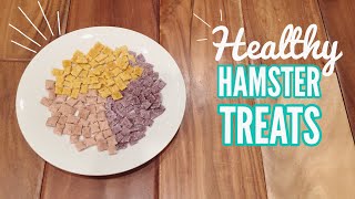 DIY Hamster Treats [upl. by Xenia]