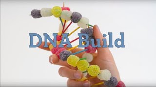 DNA Build [upl. by Kacy]