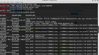 Introduction to Firmware Reversing [upl. by Amsab]