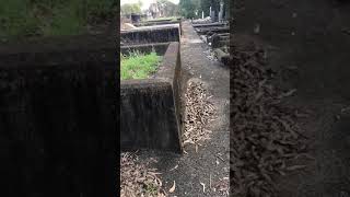 Nundah Historical Cemetery Tour amp Paranormal Spirit Talk [upl. by Aieka]