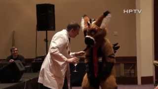 Telephone and Fox Amoore MidWest FurFest Charity Show 2013 [upl. by Jessalin940]