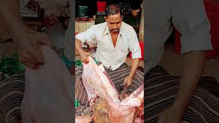 beef meat meat beef beef shortsviral beefcuts beef fishcutting beefmeatcutting meat food [upl. by Ahsaz]