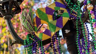 Live New Orleans Mardi Gras parade Krewe of Pygmalion [upl. by Phoebe]