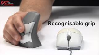 DXT Ergonomic Wireless Mouse [upl. by Anitsuga]