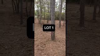 3 Lots 10 Acres Each  8K Down Owner Financing  Passed Soil Test  Rockingham NC  Tract 1 [upl. by Sherye]