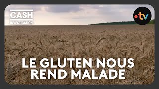 Gluten  notre blé estil devenu indigeste   Cash investigation [upl. by Romanas]