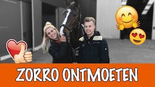 Springen met Gino en zijn paard  PaardenpraatTV [upl. by Gleeson]