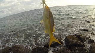 MultiSpecies Surf Fishing in Puerto Rico [upl. by Anselmo]