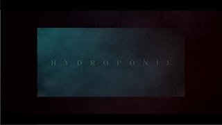 Alpha Wann  Hydroponie [upl. by Rosamund]