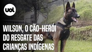 Crianças salvas na Colômbia Wilson cachorroherói do resgate na Amazônia ainda está perdido [upl. by Bernie]