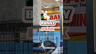 Lihat Kelinci di Bunny Park shorts shortsviral viralvideo [upl. by Annuhsal]