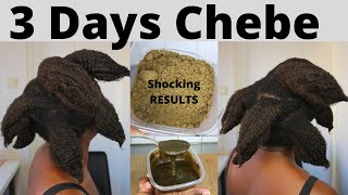 I Left Chebe Powder On My Hair For 3 Days And This Happened To My 4c Natural Hair Shocking Review [upl. by Avehstab424]