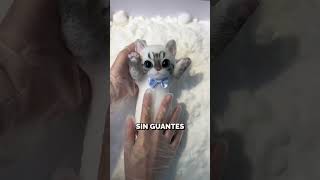 ¡Así se hacen los Peluches 😱😍shorts curiosidades gatos [upl. by Htebasile]