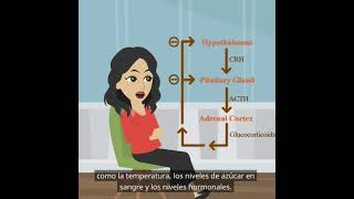 Psicología básica la función del sistema endocrino [upl. by Ruthie709]