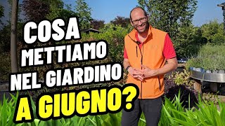 Cosa Mettiamo nel Giardino a Giugno [upl. by Iliam50]