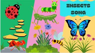 Insects song for kids  Toddler Rhymes  Bugs song  Educational songs  butterfly ladybug bumblebee [upl. by Yelsna]