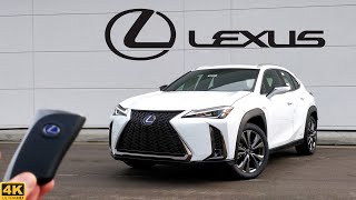 2020 Lexus UX 250h  U Dont Have to be Rich for THIS Lexus [upl. by Dolly804]