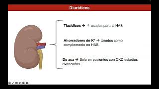 Antihipertensivos I Diuréticos [upl. by Wanfried]