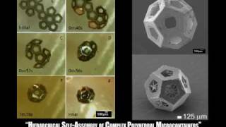 SelfAssembly of Lithographically Patterned 3D MicroNanostructures [upl. by Ainot345]