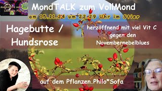 MondTalk zum Vollmond  Im Gespräch mit Nana Mara auf dem PflanzenPhiloSofa  Hagebutte Hundsrose [upl. by Rauch]