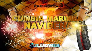 MIX MARIMBA NAVIDEÑA CUMBIA BAILABLE DJ LUDWIN EL ORIGINAL PRODUCER [upl. by Jacquelin35]