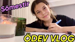 ÖDEV VLOG  Sömestir Tatilinde Ders Çalışma Günlüğüm Tuana Zeybek [upl. by Avevoneg985]