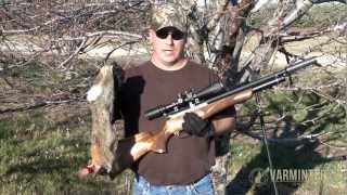 A Short Ranch Depredation Hunt with an Airgun [upl. by Ennaecarg]