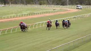 Mareeba 11052024 Race 2 [upl. by Heloise]