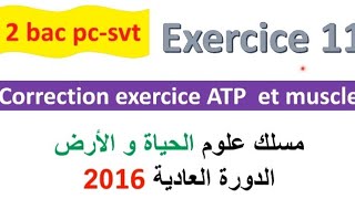 2 bac svt pc CORRECTION exercice 11 svt  ATP et muscle normale PC 2022 [upl. by Airdnalahs159]