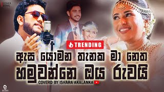 Asa yomana thanaka ma netha hamuwanne oba ruwai I ඇස යොමන තැනක I Coverd by Ishara Akalanka [upl. by Arraeic]