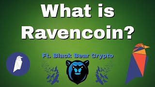 What is Ravencoin RVN and why is it so Awesome First Halving Imminent Ft Black Bear Crypto [upl. by Eemla]