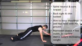 Plank with Horizontal Pulley Row [upl. by Eillek845]